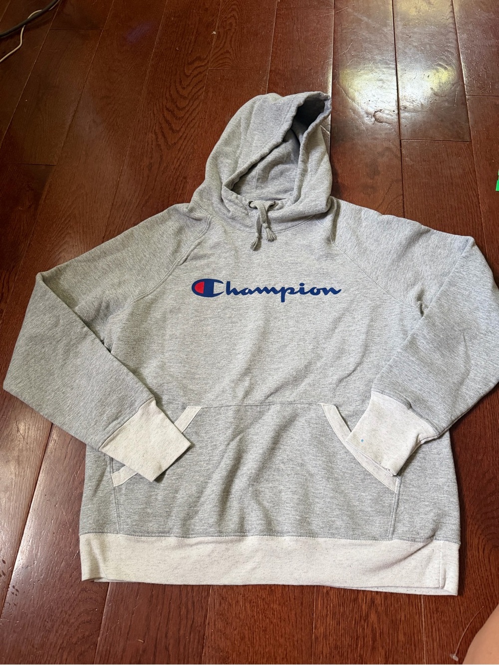 Champion Gray Logo Hoodie